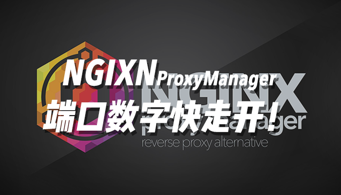 Nginx Proxy Manager!端口数字快走开！